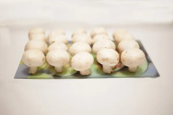 mantar yönetim kurulu