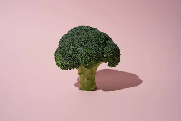 Green raw broccoli on pink background — Stock Photo, Image