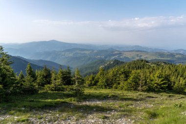 Yaz dağı taşı, çimen ve bulutlar 