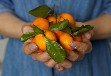 Elinde bir sürü mandalina tutan bir kız. 