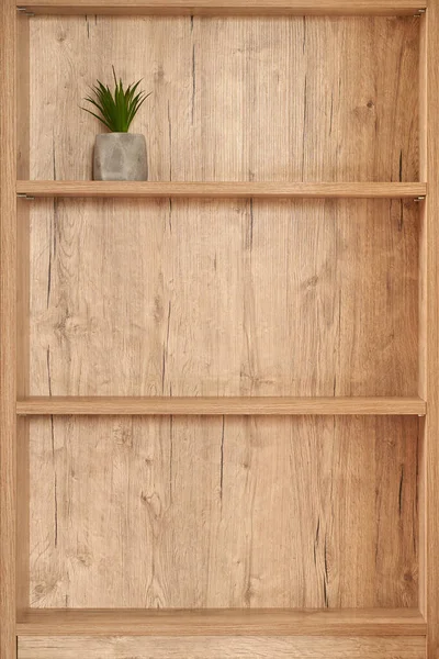 Drewniana półka z kwiatem w metalowym koszu — Zdjęcie stockowe