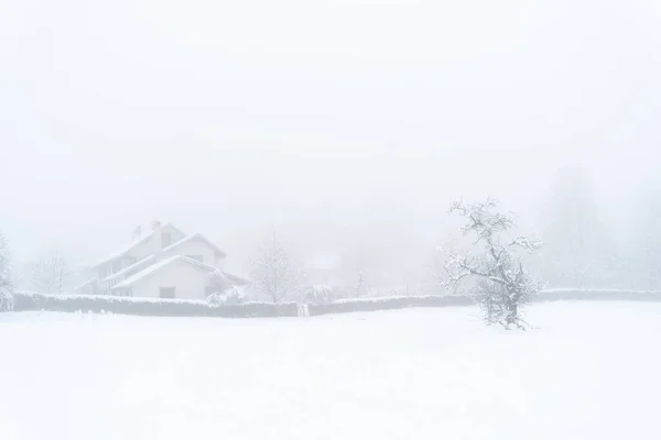 Зимний снежный пейзаж в горах. Дом дерево в тумане.. — стоковое фото