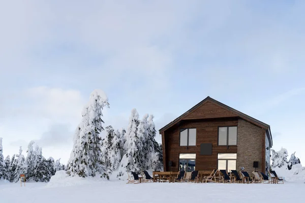 Зимний пейзаж. Деревянный дом на горе и ель под снегом. — стоковое фото