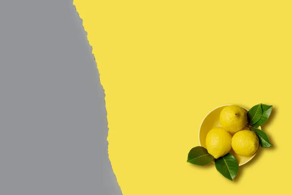 Lemons and green leaves yellow bowl on yellow background with cope space — Stock Photo, Image