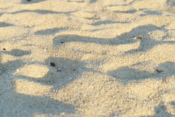 Písečná pláž krásná textura slunce a stíny — Stock fotografie