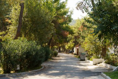 Ormanın doğal parkında gezici evler. Yavaş yaşam. Kavram..