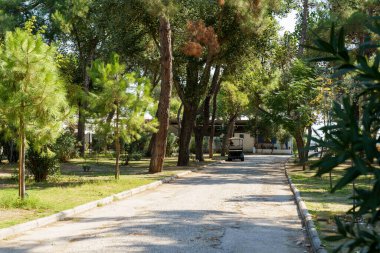  Güzel orman parkı gezici evinde kamp yapmak. Yavaş yaşam.