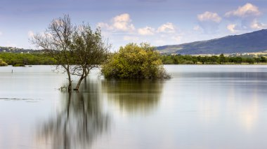 rezervuar manzanares el gerçek