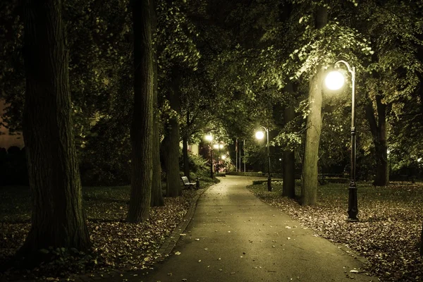 Nachtlandschaft im Park — Stockfoto
