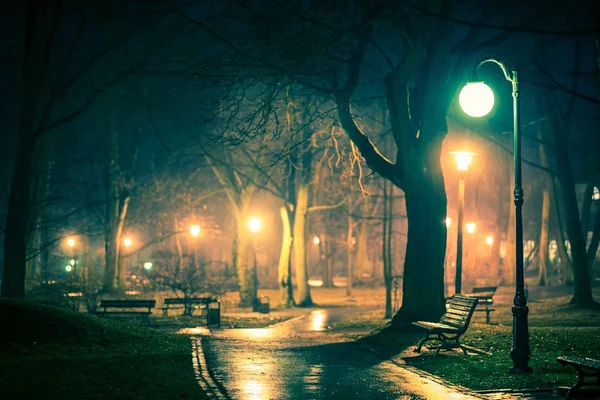 Parque oscuro de la ciudad lluviosa — Foto de Stock