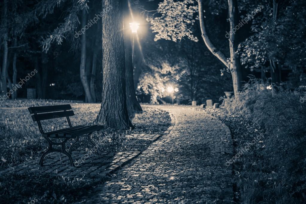 Sonhar Com Lugar Sujo E Escuro Lugar assustador escuro do parque Fotografias de Stock © peterzayda