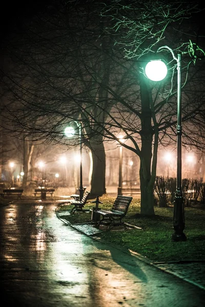 春天的雨，在公园里 — 图库照片