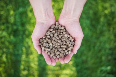 Ahşap masa açık çizim yapma.