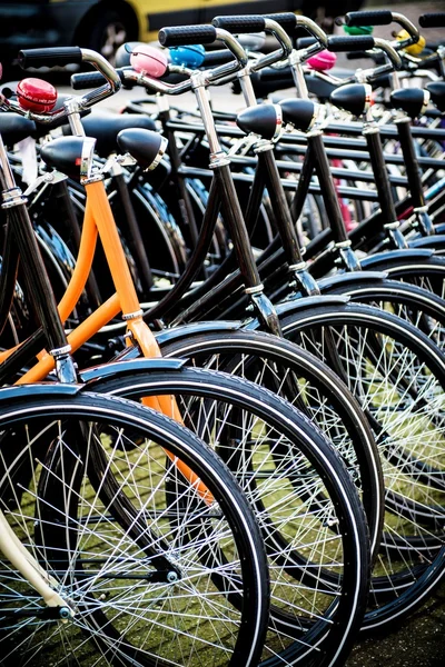 Amsterdam-Fahrräder — Stockfoto