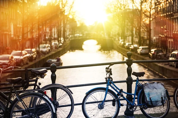 Amsterdam Bikes