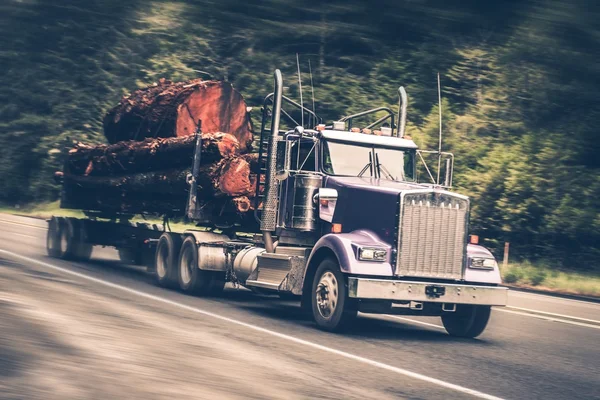 Raser-Holztransporter — Stockfoto