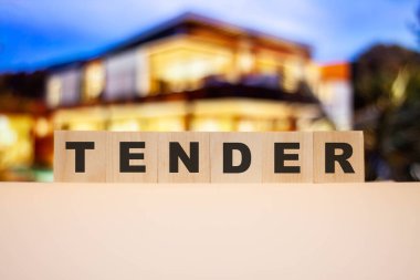 Büyük ev kavramının arka planında ihale