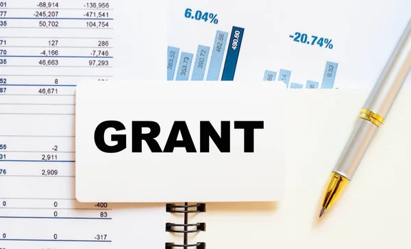 Beyaz kağıda, finans sözcüğü - Grant, mavi çizelge ve kalemle