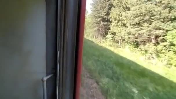 Θέα Από Τρένο Ενώ Ταξιδεύετε Καλοκαίρι Άποψη Του Δάσους Και — Αρχείο Βίντεο