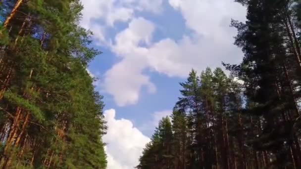 Påskyndad Video Molnens Rörelse Sommaren Nära Skogen — Stockvideo
