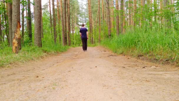 Ένας Άντρας Μπλουζάκι Περπατάει Μόνος Στο Δάσος Μια Ζεστή Καλοκαιρινή — Αρχείο Βίντεο