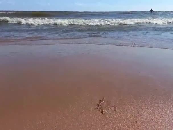 暑い日にビーチで夏の大きな波 波の音と海底からの海のビーチビュー — ストック動画