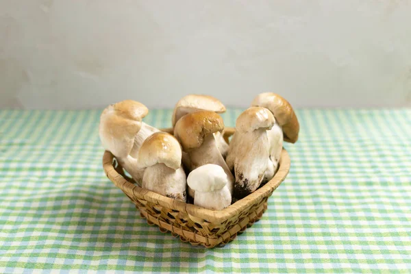 Porcini Mushrooms Wicker Brown Basket Green Checkered Background Autumn Gifts — Stock Photo, Image