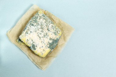 Mavi arka planda mantarlı bozulmuş peynir parçaları. Yiyecek atığı konsepti. Yatay oryantasyon. Boşluğu kopyala.