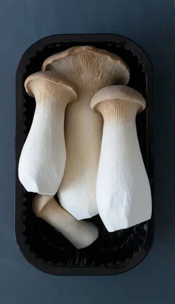 Eringi Svamp Plastförpackningar Grå Bakgrund Pleurotus Eringi Vegetariskt Matkoncept Platt — Stockfoto