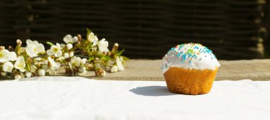 Beyaz bir masa örtüsünün üzerinde çiçek açan elma ağacının dallı Paskalya pastası. Bahar tatili. Yatay oryantasyon. Boşluğu kopyala.