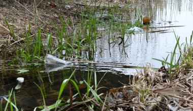 Nehir kenarındaki plastik şişeler, bardaklar ve çantalar. Gezegen kirliliği kavramı. Seçici odak. 