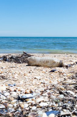 Deniz kenarındaki boş plastik şişe. Çevre kirliliği kavramı.