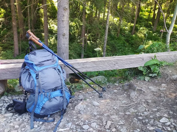 A large backpack with trekking poles against the background of a spruce forest. The concept of recreation in the mountains. Horisontal orientation.