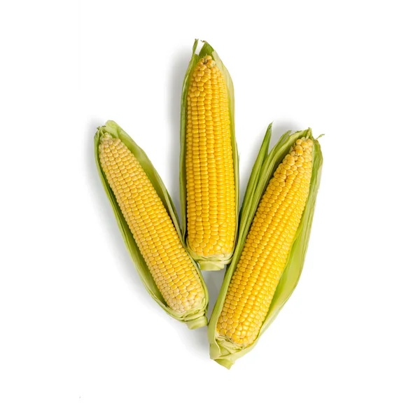 Frischer Mais mit grünen Blättern isoliert auf weißem Hintergrund — Stockfoto
