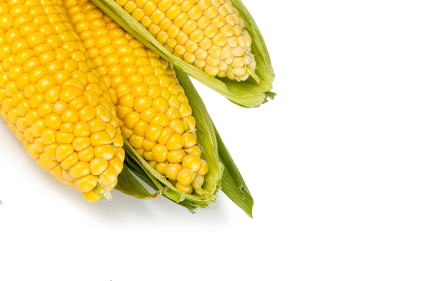 Świeża kukurydza z zielonych liści na białym tle — Zdjęcie stockowe