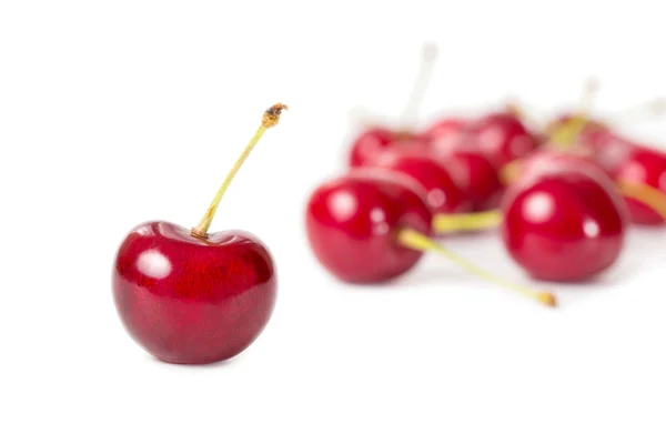 Ripe cherries - isolated on white background — Stock Photo, Image