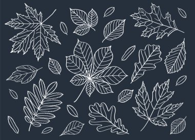 sonbahar pürüzsüz desen. 