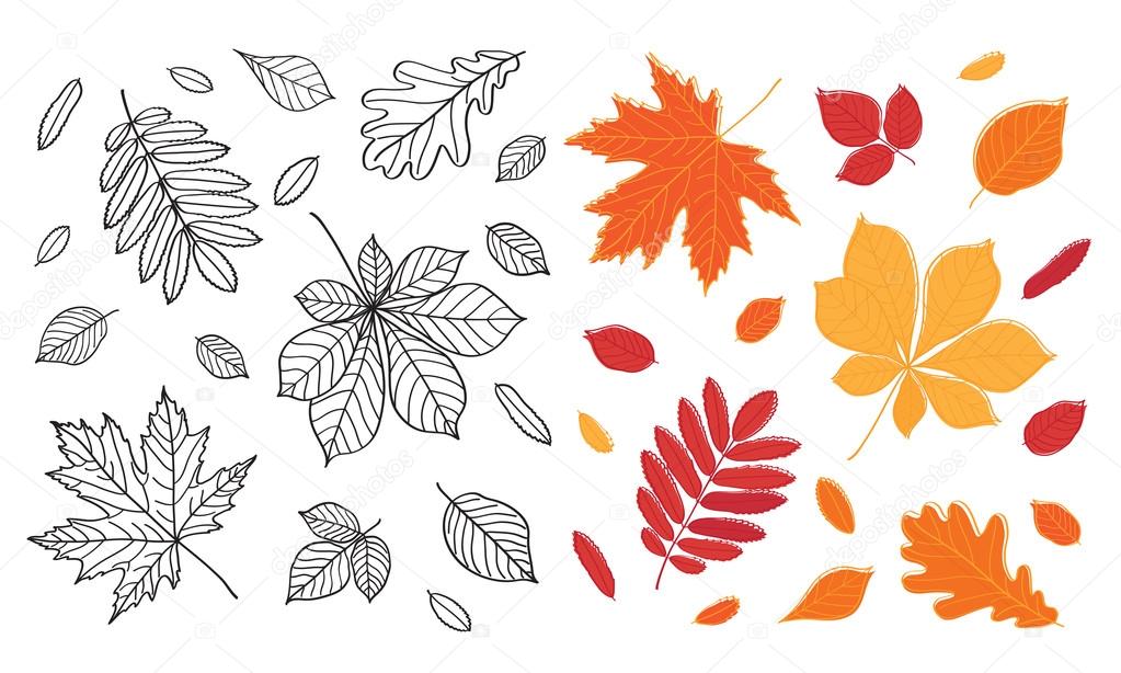 Seamless pattern. Fall of the leaves