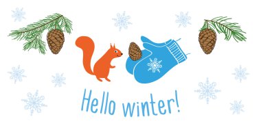 Koniler ve çam Ladin, sincap