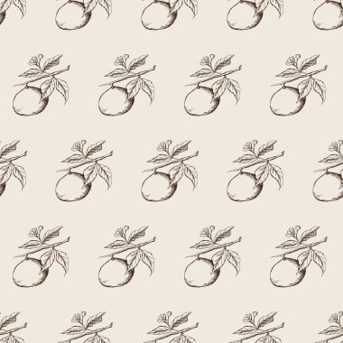 Beyaz arka planda elle çizilmiş klasik, pürüzsüz mandalina deseni. Tekstil imalatı, duvar kağıdı, posterler vs. için mükemmel. Vektör illüstrasyonu