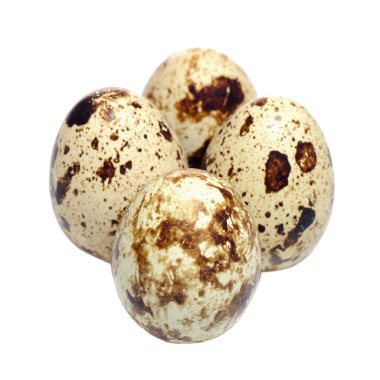 bıldırcın yumurtası