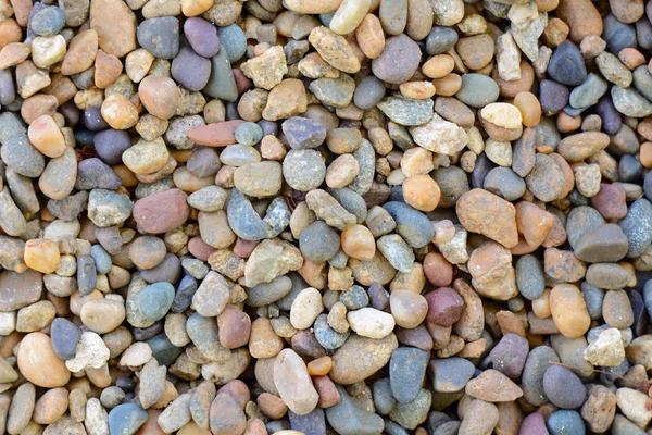Каменный рубль — стоковое фото