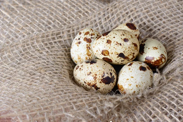 Huevos de codorniz —  Fotos de Stock