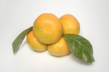 mandalina