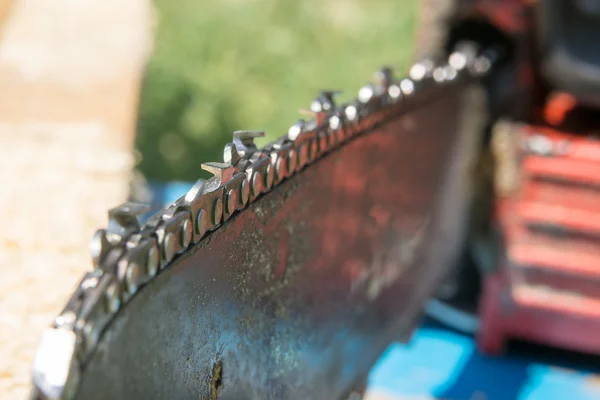 Sawing tree — Stock Photo, Image