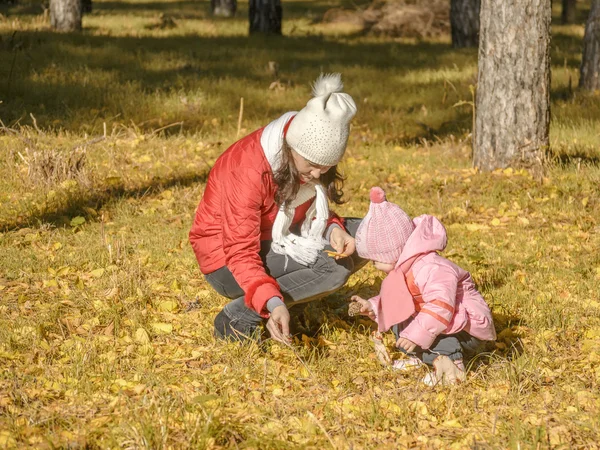 Mãe com seu bebê em folhas de outono e solavancos colhidos — Fotografia de Stock