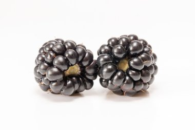 Beyaz bir arka planda olgun böğürtlen