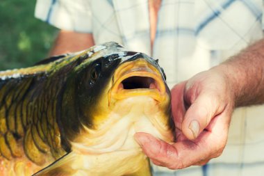 Plastik boru lehimleme