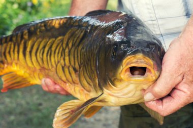 Plastik boru lehimleme