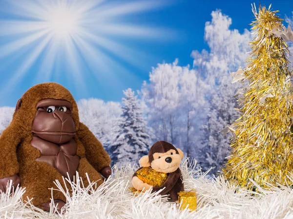 Monkey tree winter — Stock Photo, Image